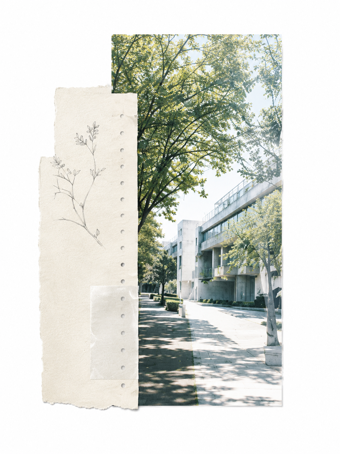 記録を囲む机と東北大学のキャンパス