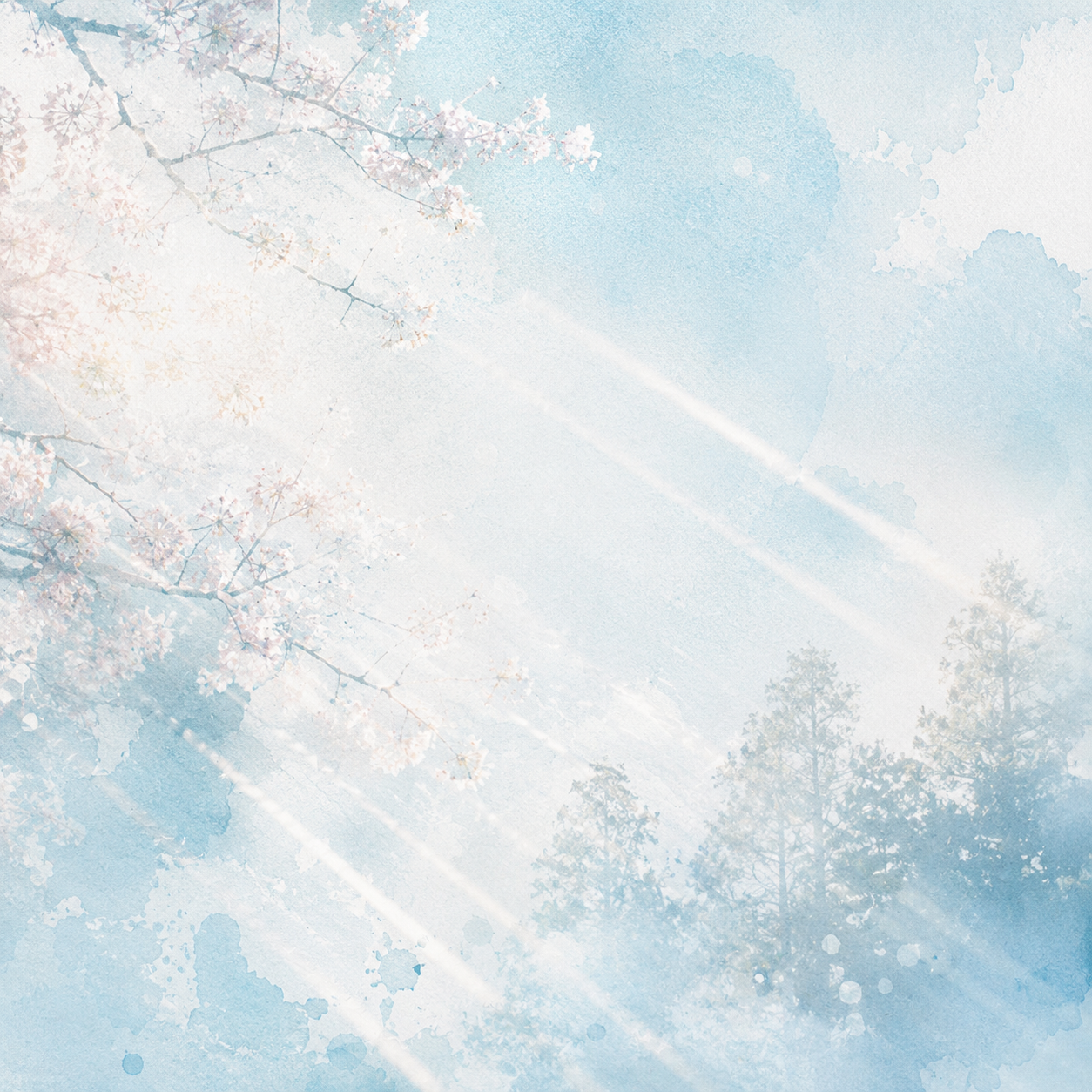 桜と光が重なる風景